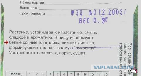 Весёлое из сети