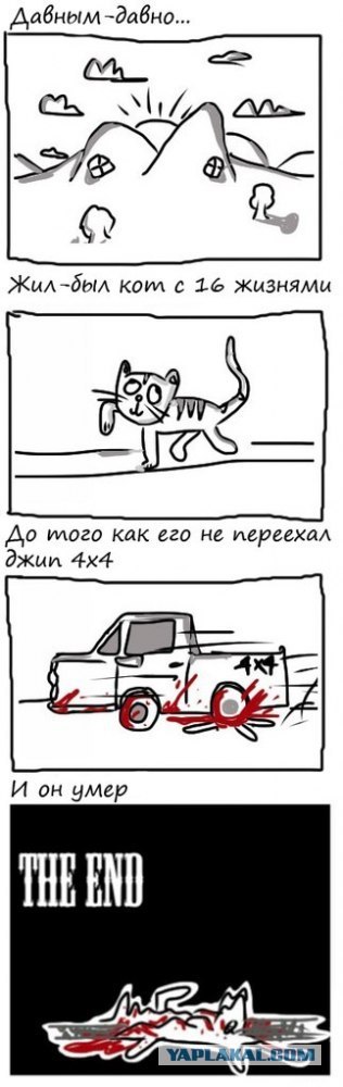 О чём думают коты........