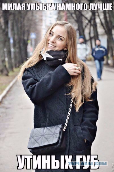 Прикольные картинки из сети