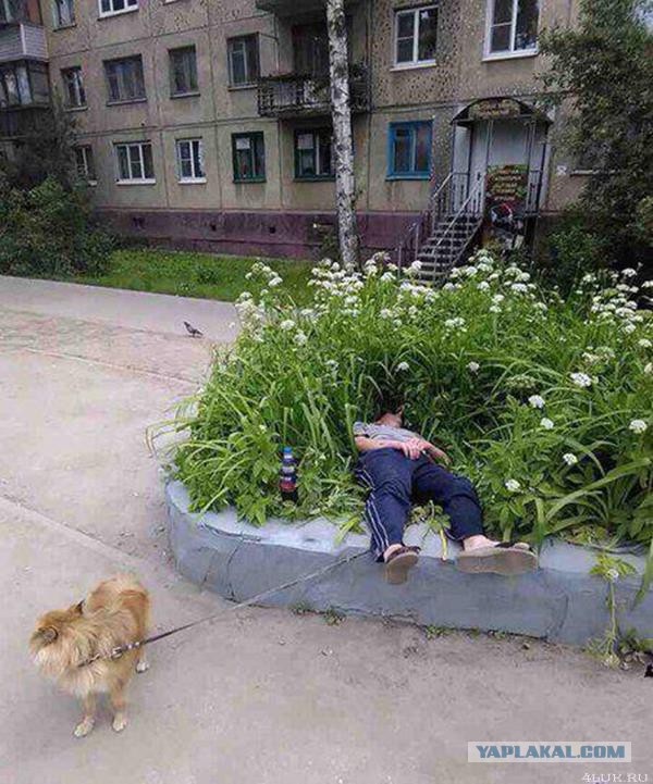 Ужасы и приколы из соцсетей 18+