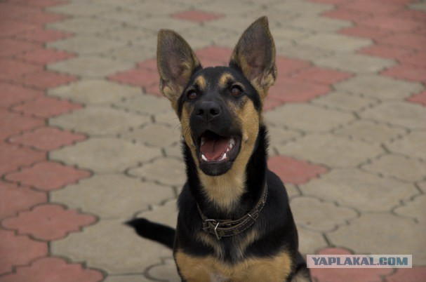 Где захотелось-там и уснулось