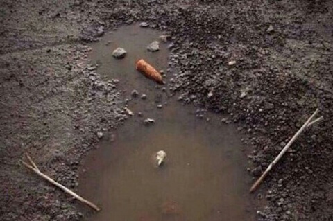 Глобальное потепление