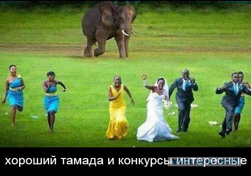 Злые шутки или минутка сарказма на ЯП-е, 16+