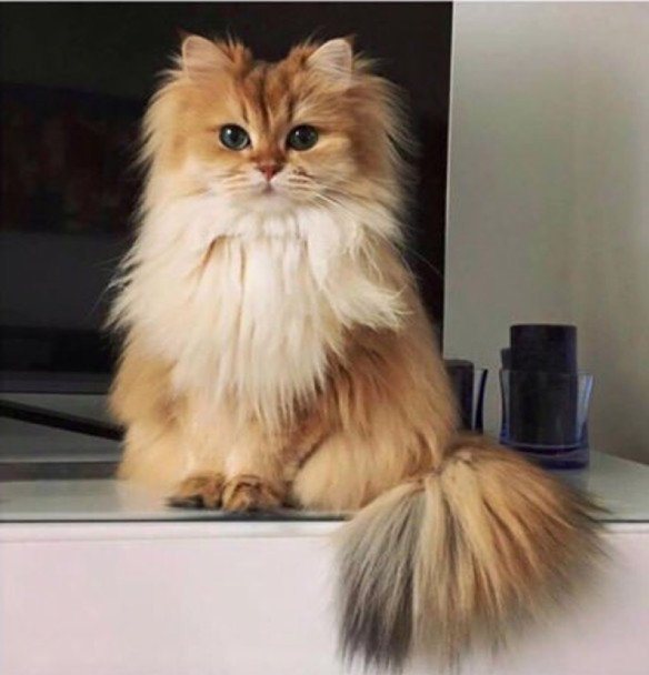 Подборка интересных и веселых картинок