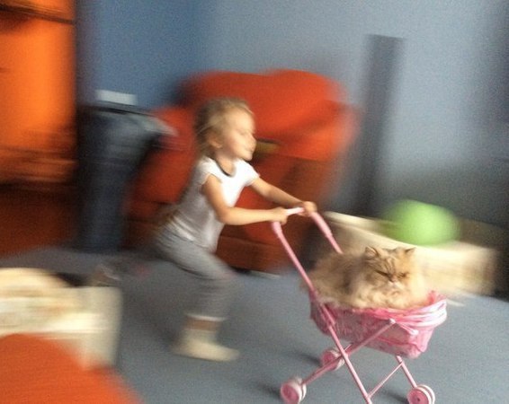 Подборка интересных и веселых фото