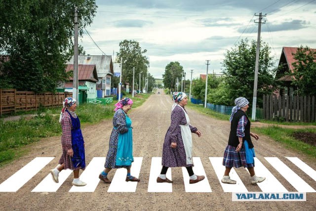 Подборка интересных и прикольных фото