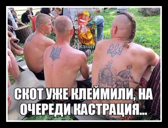 Немного политического юмора