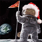 Яповцы, оновогоживайтесь!
