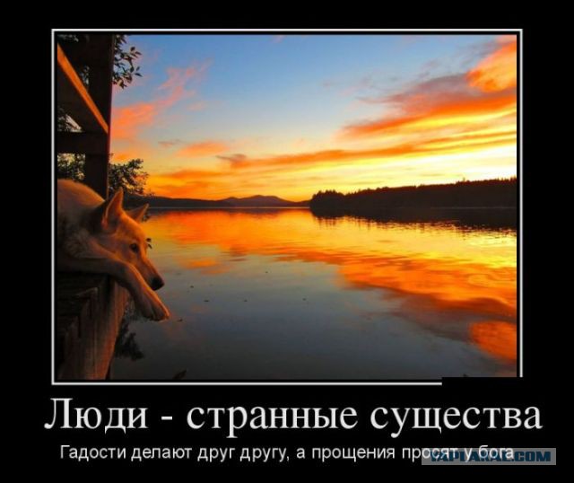 Смешные комментарии из социальных сетей 17.02.2016