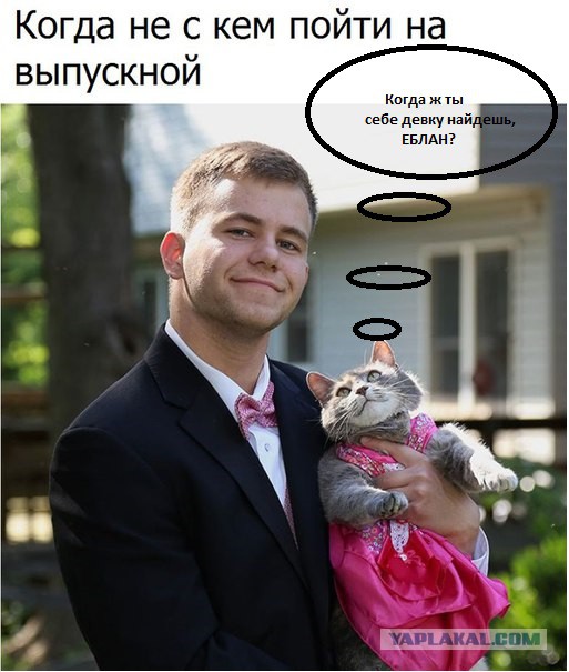 Подборка интересных и веселых картинок