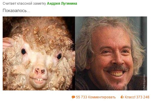 Самые забавные русские двойники мировых звезд