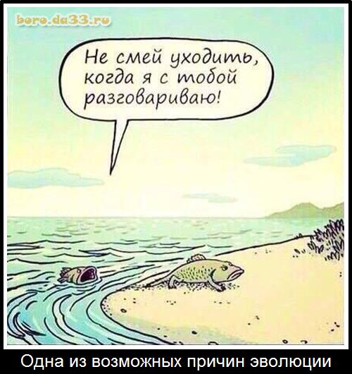 Спорные вопросы эволюции