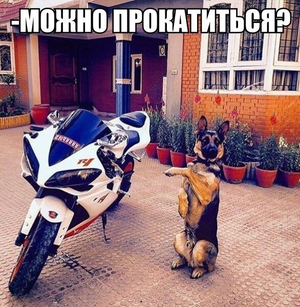 Просто юмор #25