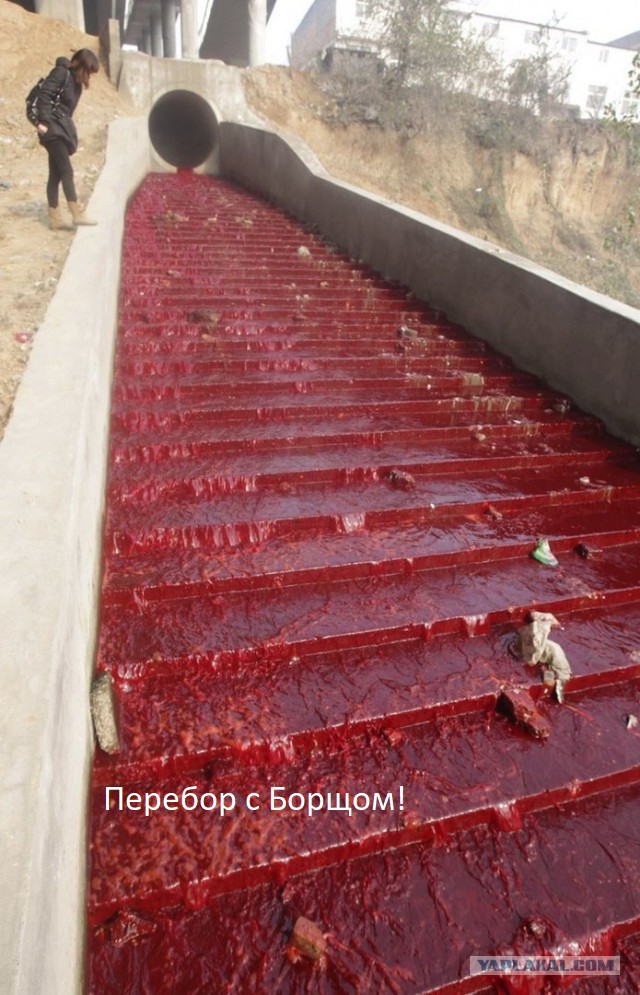 Подборка интересных и веселых картинок