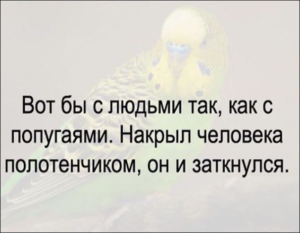 Немного текстовых картинок с неоднозначным содержанием. Часть 4