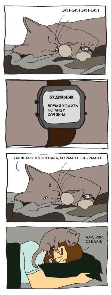 Немного весёлых карикатур
