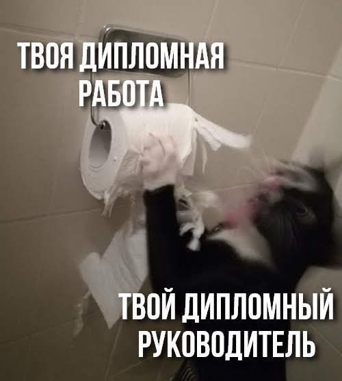 Немного весёлых картинок