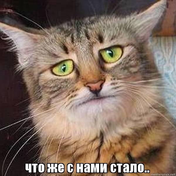 Это сравнимо с неимоверным стыдом при выходе из супермаркета без покупки