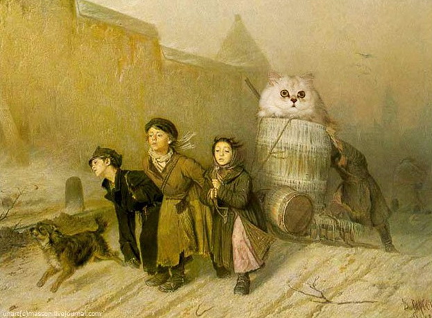 Котовторник: Кошки и ягнёнок