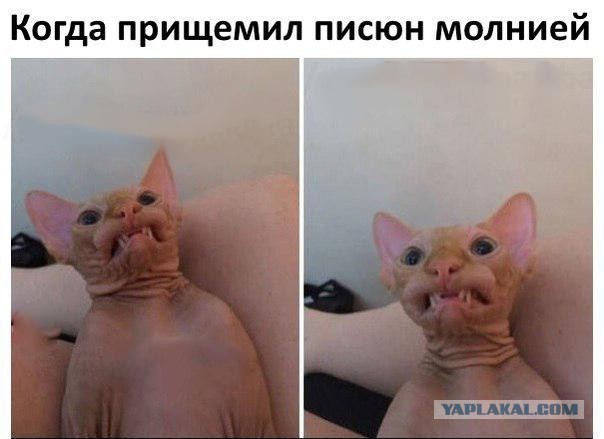 Картинки с надписями и анекдоты 25.09.19