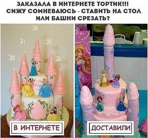 13521756.jpg