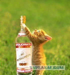 Обнимите меня, кому не лень