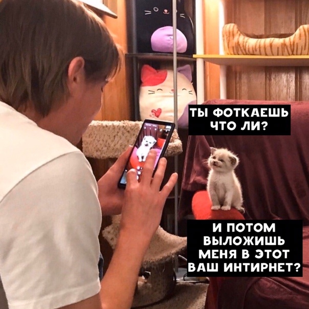 Чуток картинок 08.11.19
