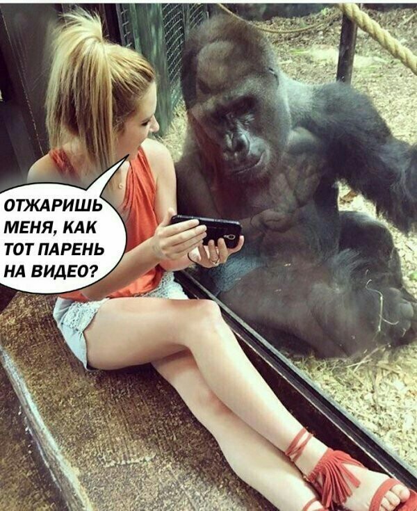 Картинки с надписями и без