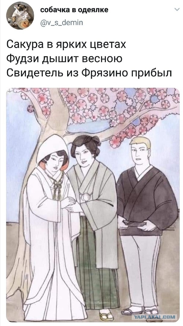 Одной картинки, пост.