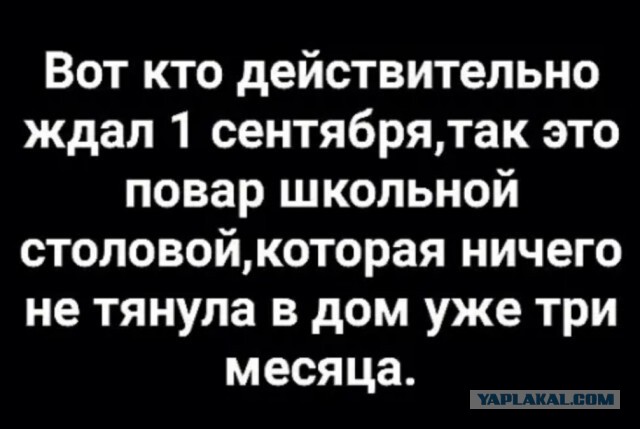 Фотки и картинки: юморные и красивые, забавные и милые 16.11.20