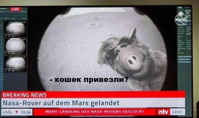 Картинки и мемы для настроения 23.02.21