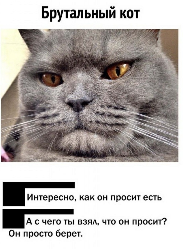 Бредзона 10.03.21