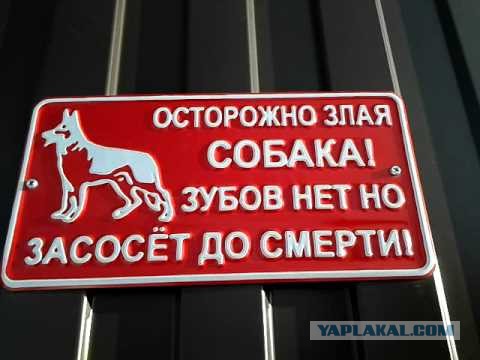 Путин пообещал, что Россия «выбьет зубы» всем, кто покушается на ее территорию
