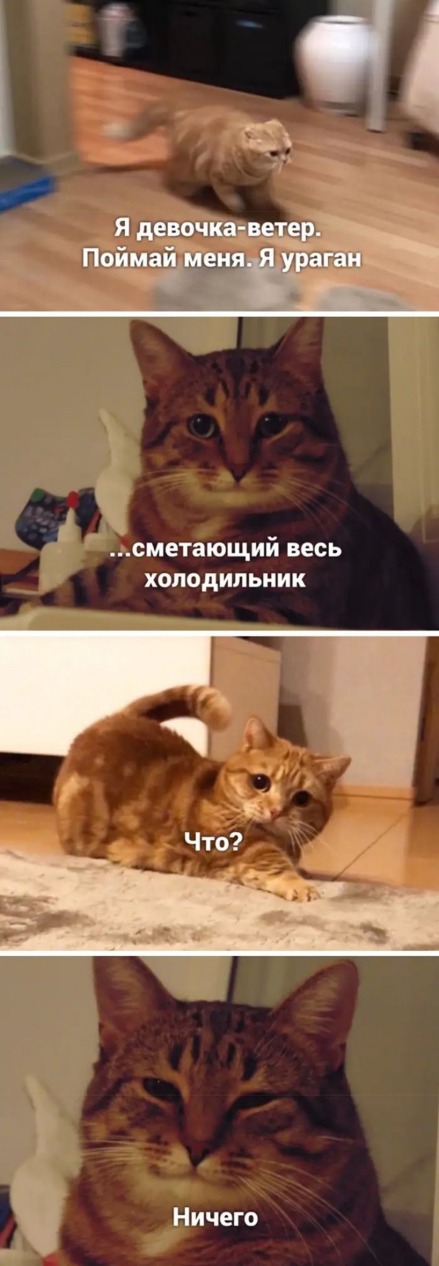 Жизнь трезвого холостяка