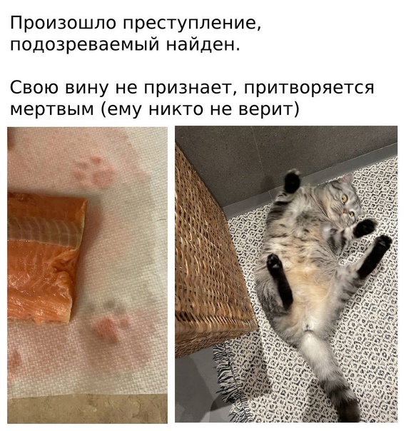 Картинки и мемы для настроения 01.06.2021
