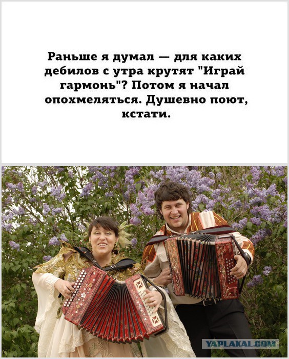 Жил-был пёс