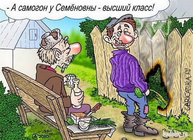 Алкопост 21.08.21