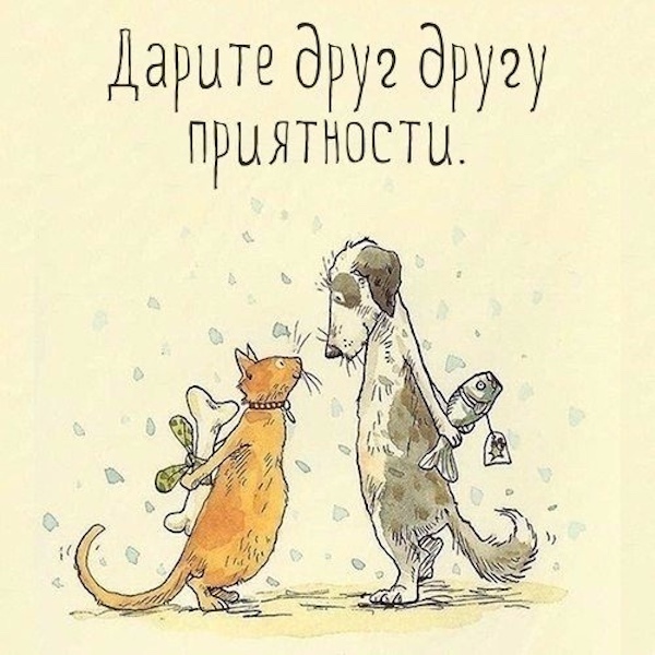 Весёлый полтишок 11.09
