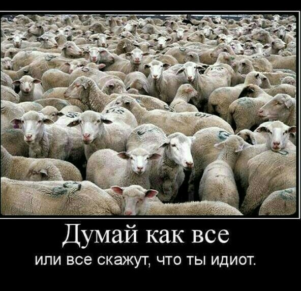 Занимательные факты о разном