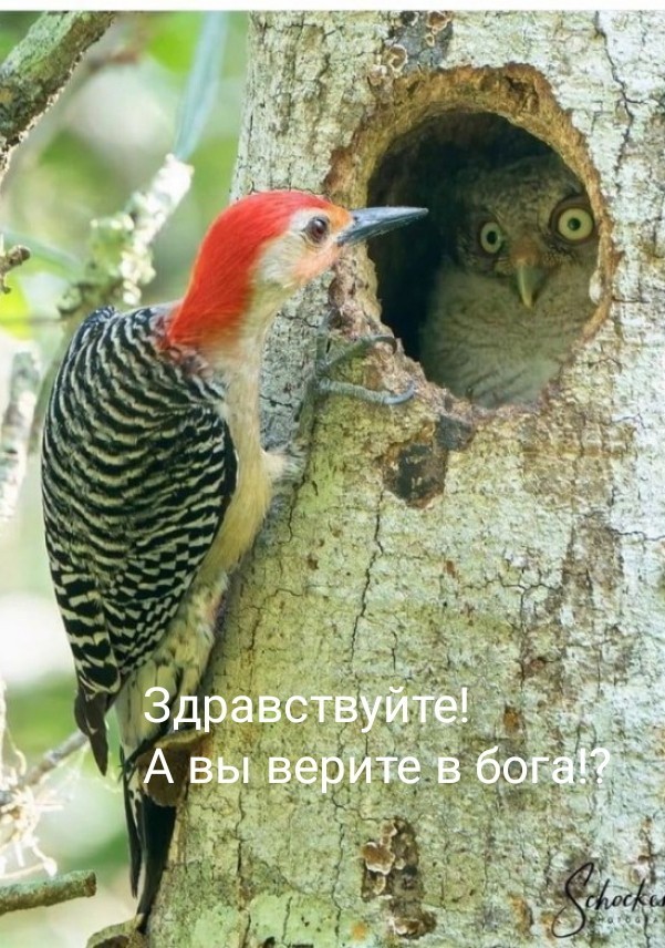 Так себе картинки 07.10.21