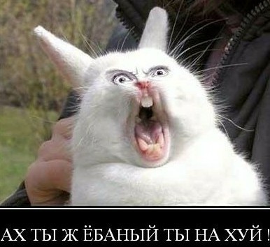 Хотела дослужить до военной пенсии, но стало ясно, что жизни мне не дадут.