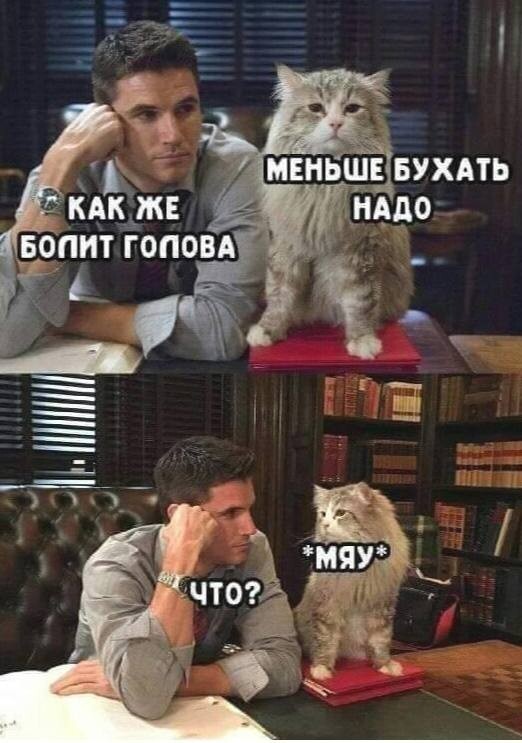 Картинки всяческие 27.01.2022