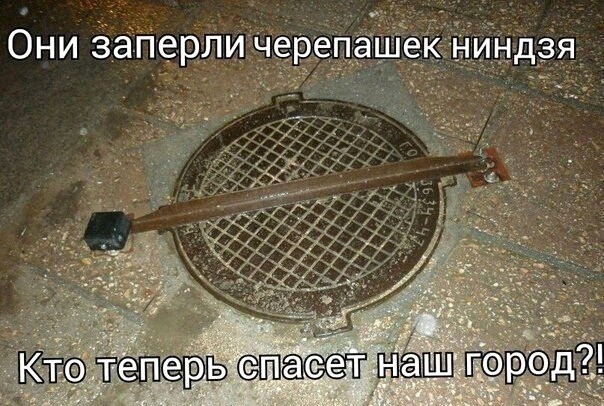 Так себе картинки 16.02.22