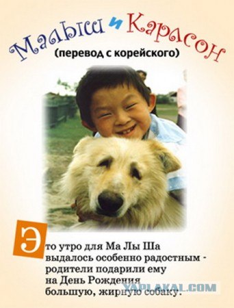 Едят ли корейцы собак?