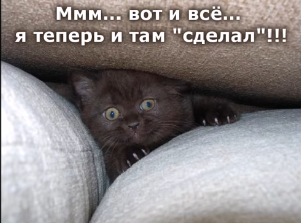 Весёлый полтишок 28.02.22