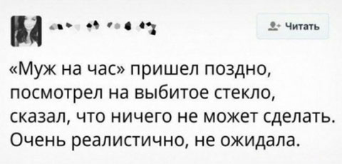 Забавные и веселые картинки