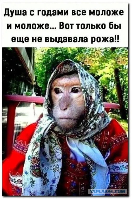 "Живём мы, алиментщицы, в свое удовольствие"