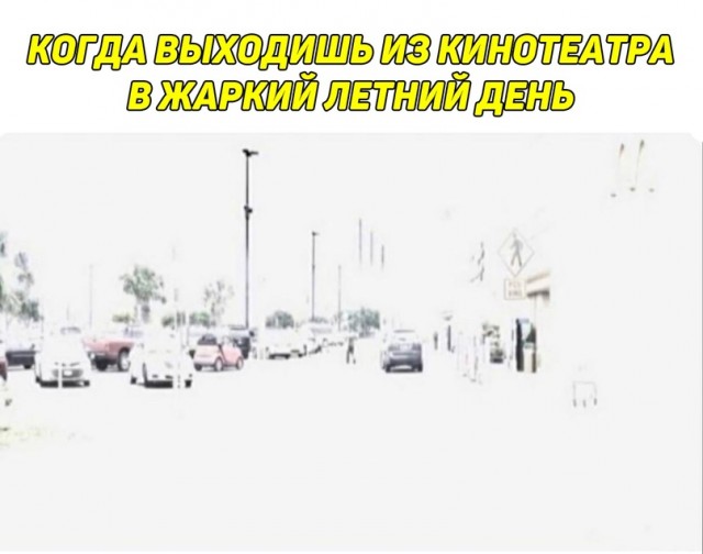 Картинки и мемы для настроения - 23