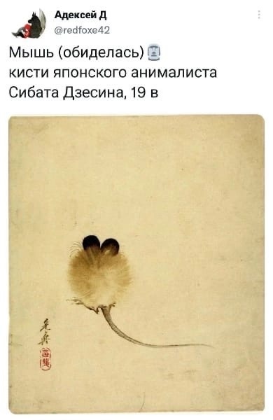 Так себе картинки 05.10.22