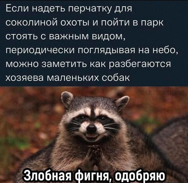 Забавные шутки и картинки из этих ваших интернетов 24.10.2022